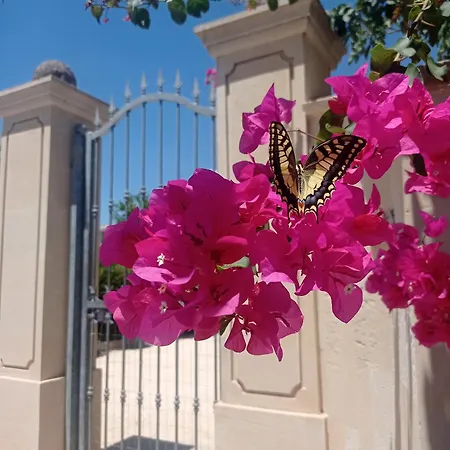 بيت ضيافة Giardino Frannicola ماليي