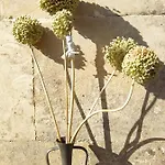 Giardino Frannicola بيت ضيافة ماليي