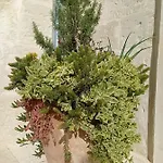 Giardino Frannicola بيت ضيافة