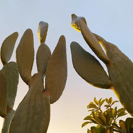 Giardino Frannicola Πανσιόν