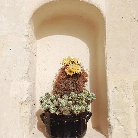 Giardino Frannicola Μάλιε